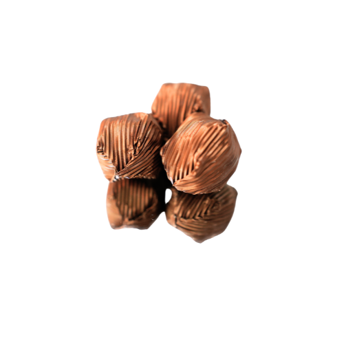 Chocolate Coconut Balls