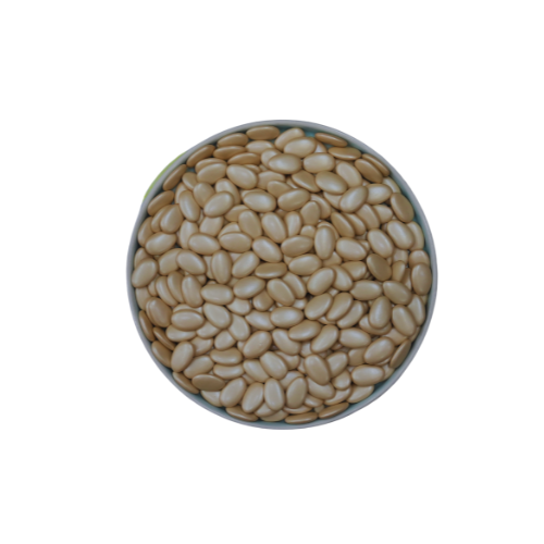 Pearly Gold Oval Chocolate